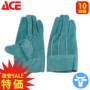 [�G�[�X�O���[�u]AG457MJ-10P �o���G�[�V����