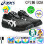 �A�V�b�N�X CP316 �o���G�[�V����