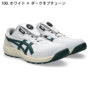 �A�V�b�N�X CP316 �o���G�[�V����
