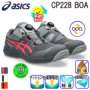 �A�V�b�N�X CP228 �o���G�[�V����