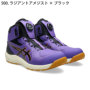 アシックス CP314BoaLCBOA バリエーション アシックス CP314BoaLCBOA バリエーション