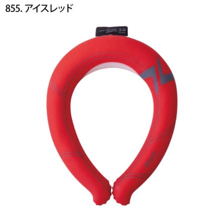 【専用】luckychun 様 正規販売店】 プリントボディセット 京商 | Amazon (レーザーZX