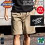 [Dickies] D-287601�J���[�o���G�[�V����