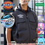 [Dickies] D-290 �o���G�[�V����