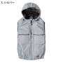 [Dickies] D-299 �o���G�[�V����