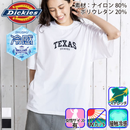 [Dickies] D-467 oG[V
