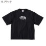 [Dickies] D-467 oG[V