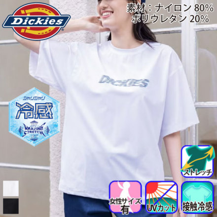 [Dickies] D-467 �o���G�[�V����