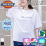 [Dickies] D-467 �o���G�[�V����