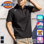 [Dickies] D-6117�����|�� �o���G�[�V����