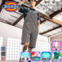 R[RX[Dickies] D-7103 oG[V
