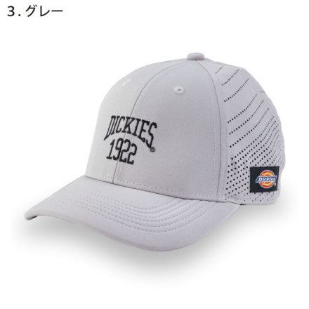 R[RX [Dickies] D-8216 hC[NLbv Type-R (CU[)
