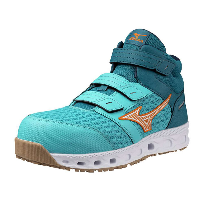 ���S�C F1GA2409 �f�B�e�[��