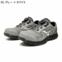 �~�Y�m F1GA2602�@�o���G�[�V����
