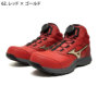 �~�Y�m F1GA2603�@�o���G�[�V����