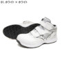 �~�Y�m F1GA2611 �o���G�[�V����