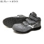 �~�Y�m F1GA2611 �o���G�[�V����