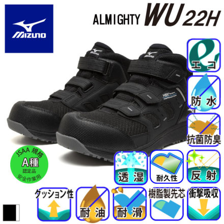 �~�Y�m F1GA2613 �o���G�[�V����