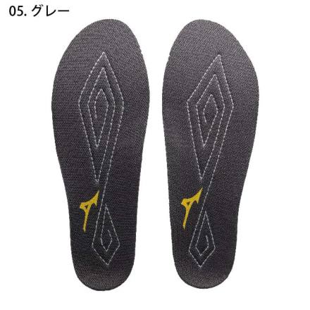 もらって 嬉しい お歳暮 ランキング ミズノ] [ユニセックス] 静電気帯電防止用インソール F1GU220105 青年漫画