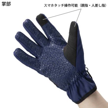 アルパインスターズ(alpinestars) レーシンググローブ