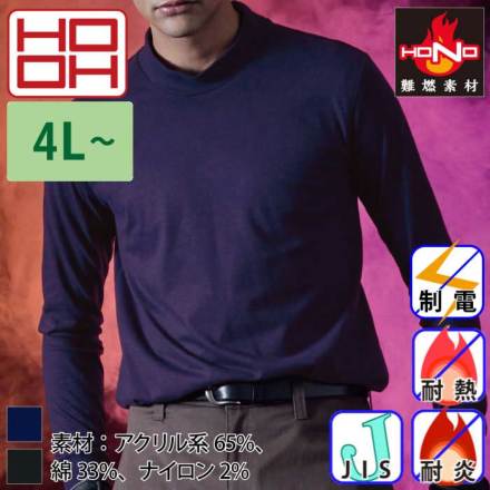 HOOH 413 �o���G�[�V����