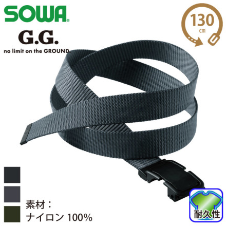 G.G. 0031-80 �o���G�[�V����