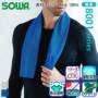 Sowa 8001-95 �o���G�[�V����