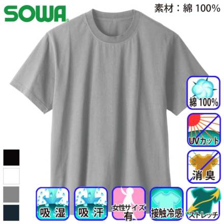 �K�a 5355-63 �J���[�o���G�[�V����