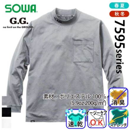 G.G.7595-54 �o���G�[�V����