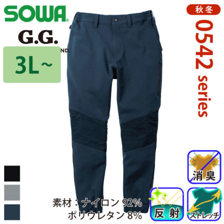 G.G. 0542-07 �o���G�[�V����