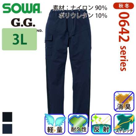 G.G. 0642-08 �o���G�[�V����