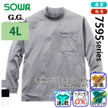 G.G.7595-54 �o���G�[�V����