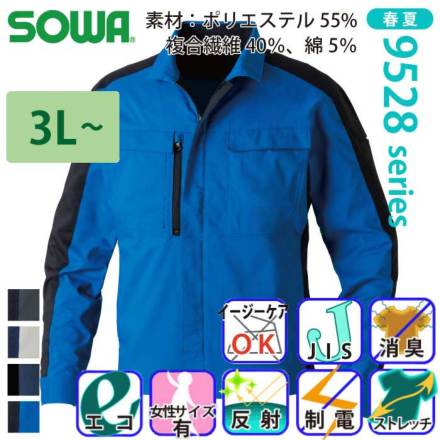 �K�a 9528-10 �o���G�[�V����
