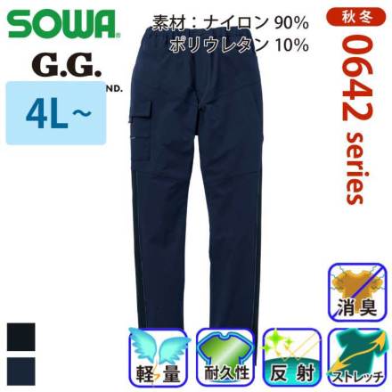 G.G. 0642-08 �o���G�[�V����