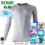 �K�a [G.G.]  0685-40 �o���G�[�V����
