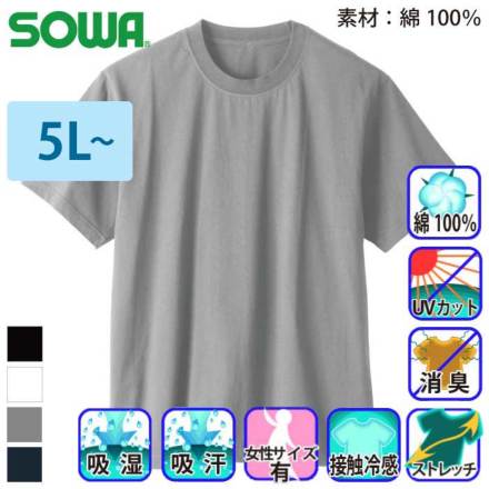 �K�a 5355-63 �J���[�o���G�[�V����