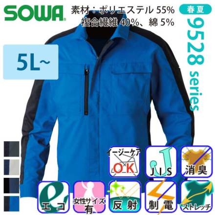 �K�a 9528-10 �o���G�[�V����