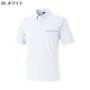 TS Design8465 �o���G�[�V����