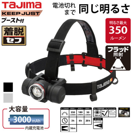�w�b�h���C�g SFKJM100A-N30 �o���G�[�V����