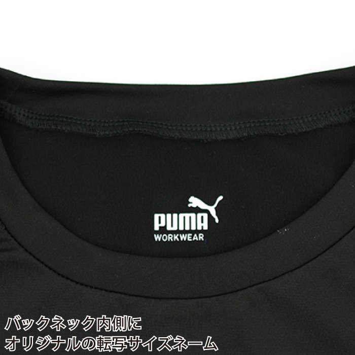 �A���_�[�V���c PW-2010N �f�B�e�[��