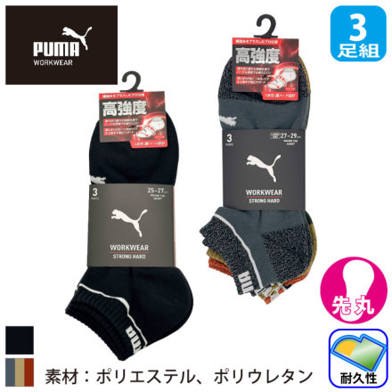 �v�[�} PWS-1101_1161 �o���G�[�V����