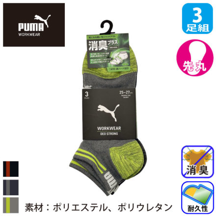 �v�[�} PWS-2101/2161 �o���G�[�V����