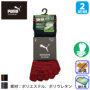 �v�[�} PWS-2105/2165 �o���G�[�V����