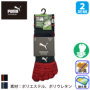 �v�[�} PWS-2405/2465 �o���G�[�V����
