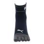 5�{�w�\�b�N�X �~�h�� PWS-2405/2465 �f�B�e�[��