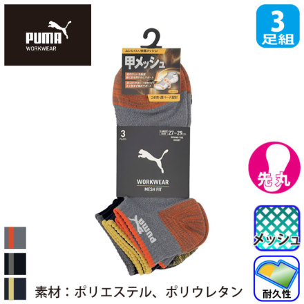 �v�[�} PWS-3101/3161 �o���G�[�V����