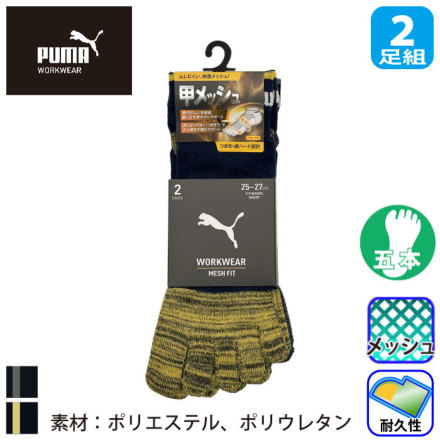 �v�[�} PWS-3105/3165 �o���G�[�V����