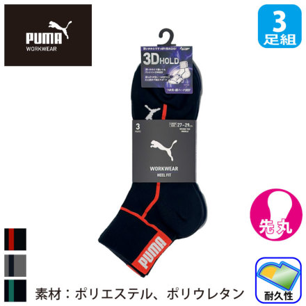 �v�[�} PWS-4401/4461 �o���G�[�V����