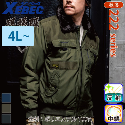 ZEBEC 222 �o���G�[�V����